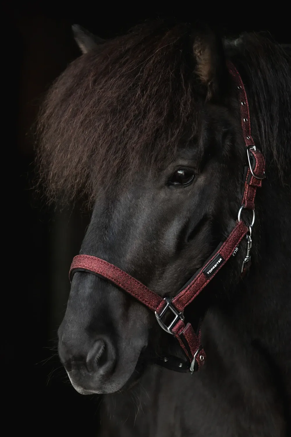 Top Reiter GLITRANDI Halter Set, Burgundy