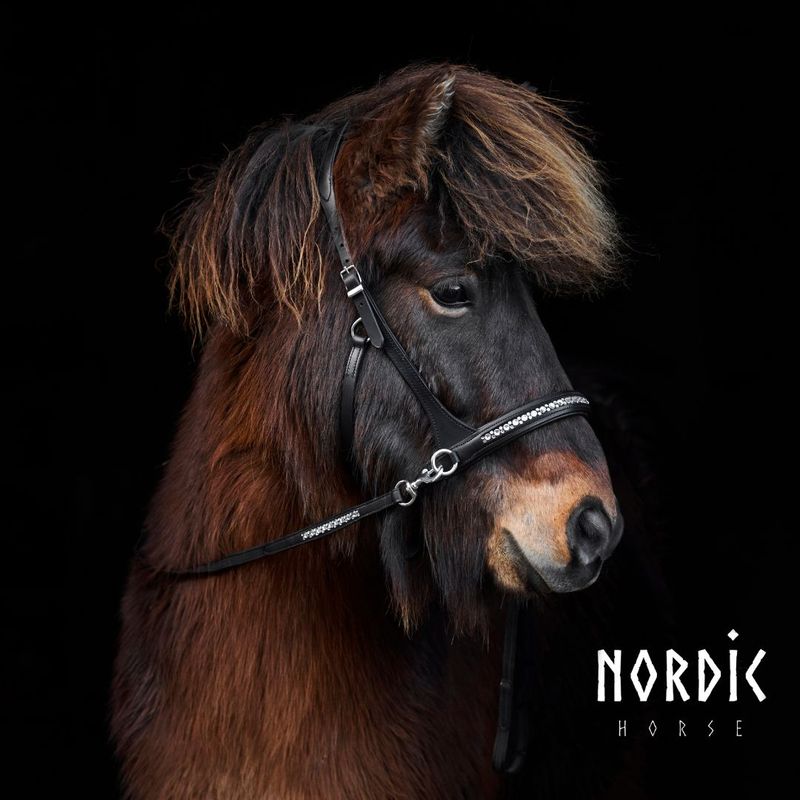 Nordic Horse Sidepull ALL WHITE
