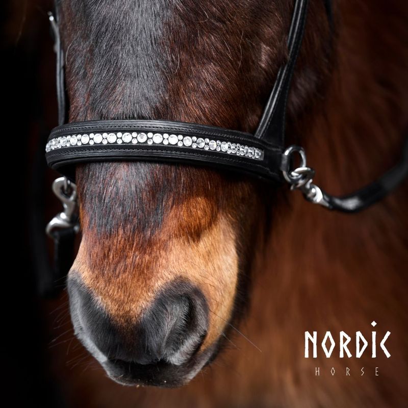 Nordic Horse Sidepull ALL WHITE