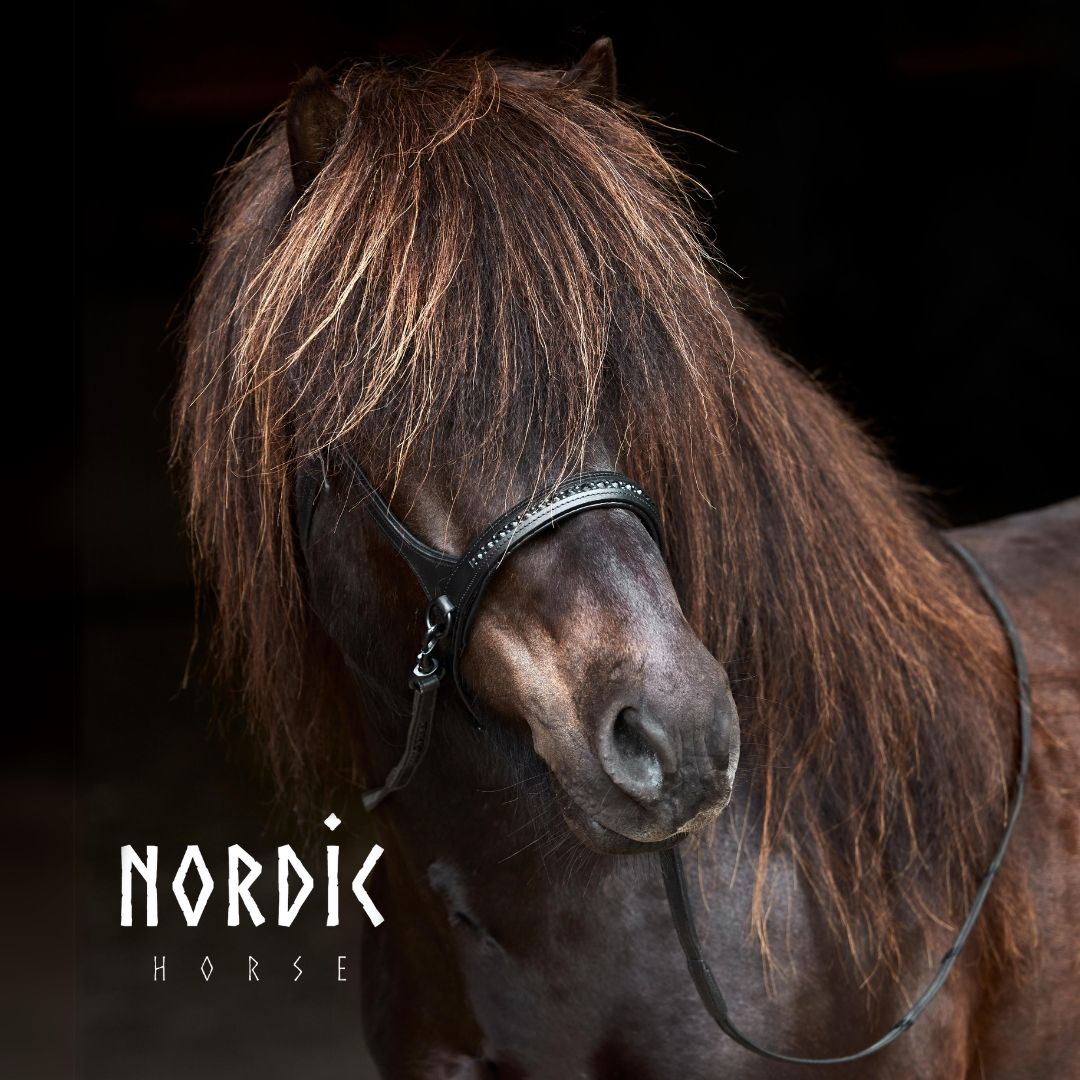Nordic Horse Sidepull ALL BLACK