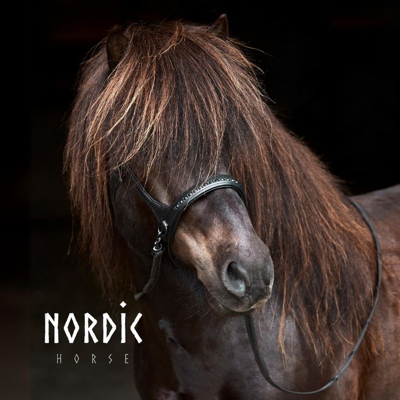 Nordic Horse Sidepull ALL BLACK