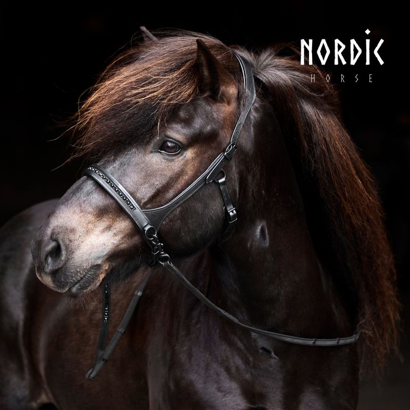 Nordic Horse Sidepull ALL BLACK
