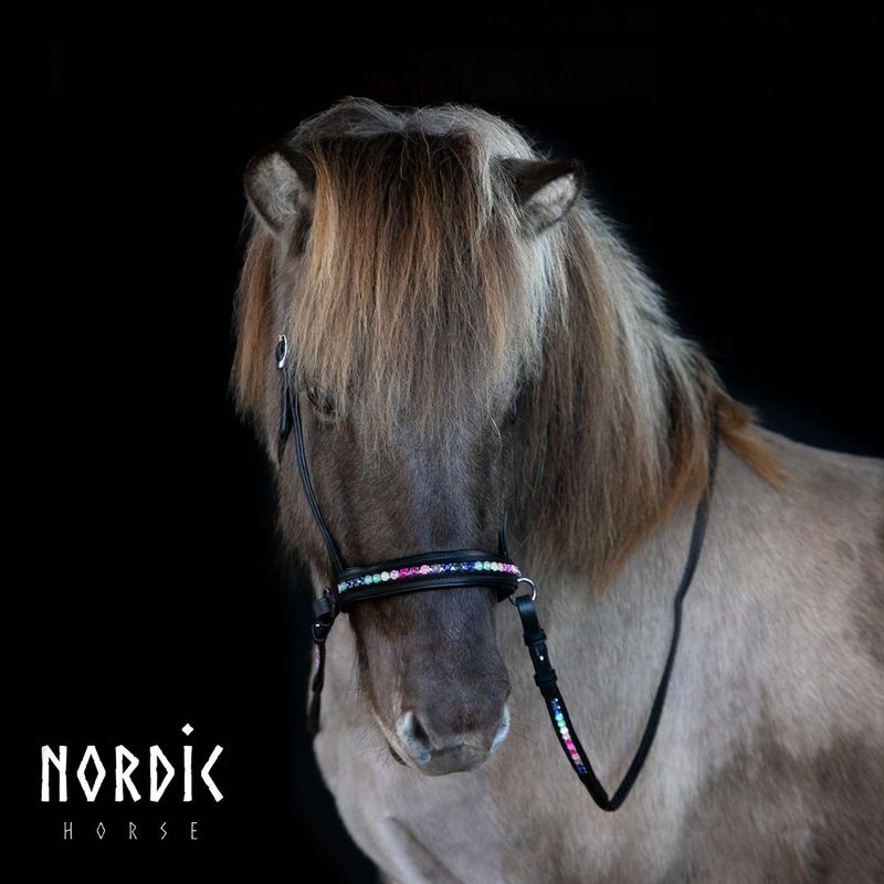 Nordic Horse Sidepull RAINBOW