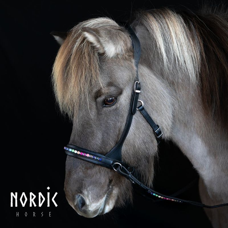 Nordic Horse Sidepull RAINBOW