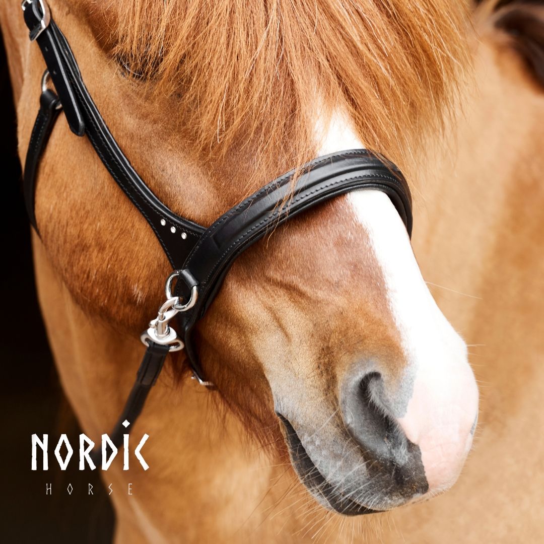 Nordic Horse Sidepull w/Stones