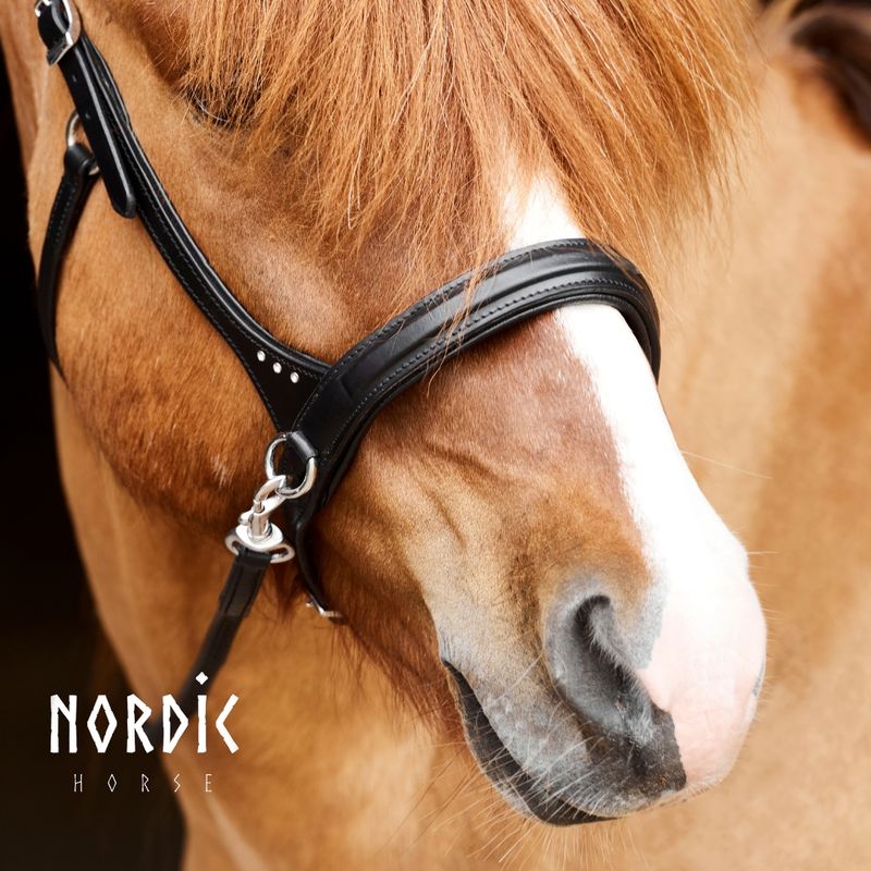 Nordic Horse Sidepull w/Stones
