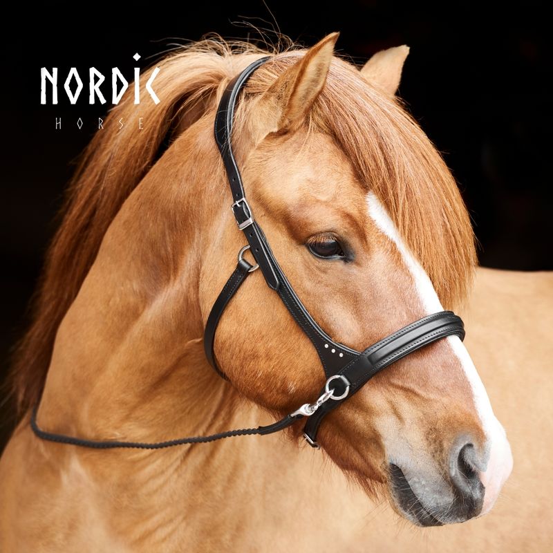 Nordic Horse Sidepull w/Stones