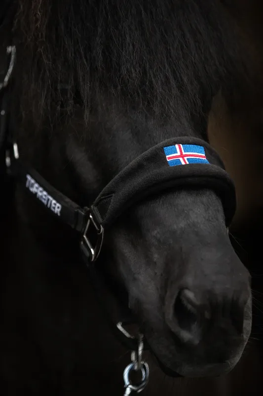 Black halter with Iceland flag