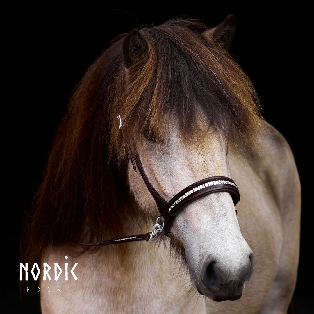 Nordic Horse Brown Sidepull ALL WHITE