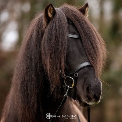 Hrimnir Heritage Headstall Classic