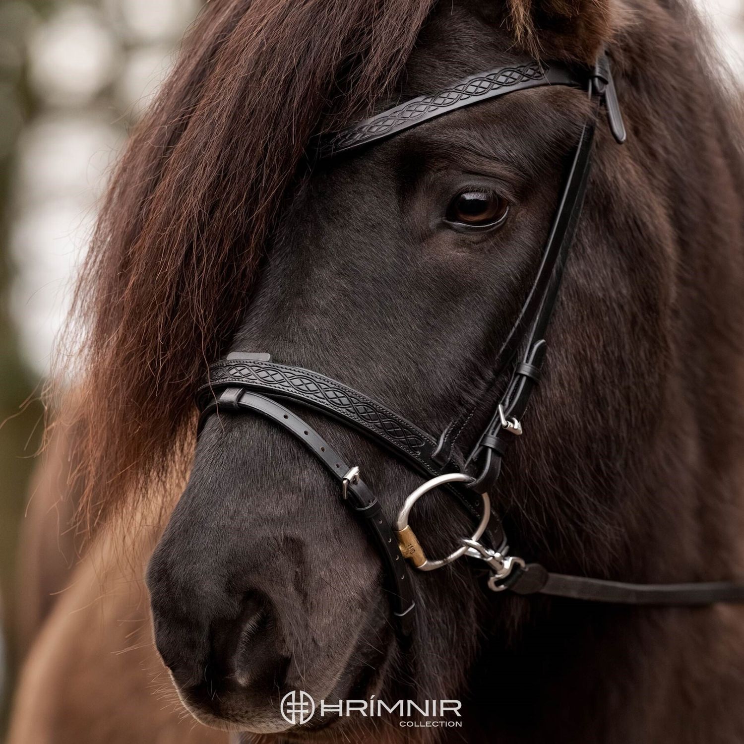 Hrimnir Heritage Flash Noseband