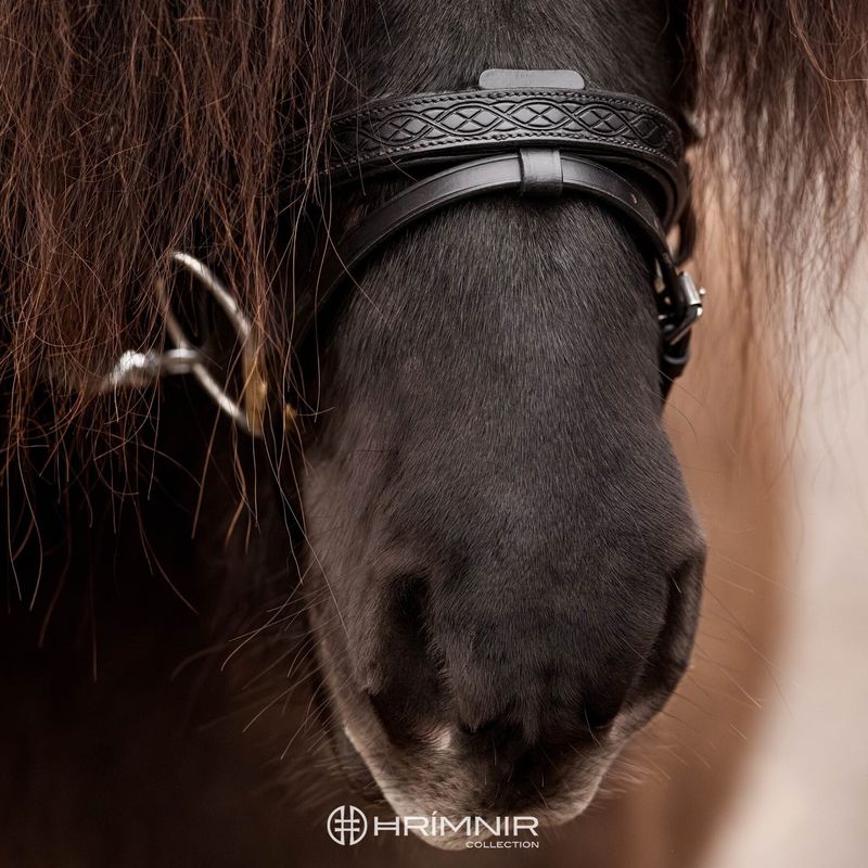 Hrimnir Heritage Flash Noseband