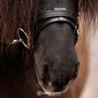 Hrimnir Heritage Flash Noseband