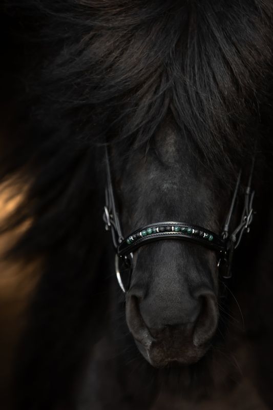 Top Reiter Bridle Set ORKA, Green
