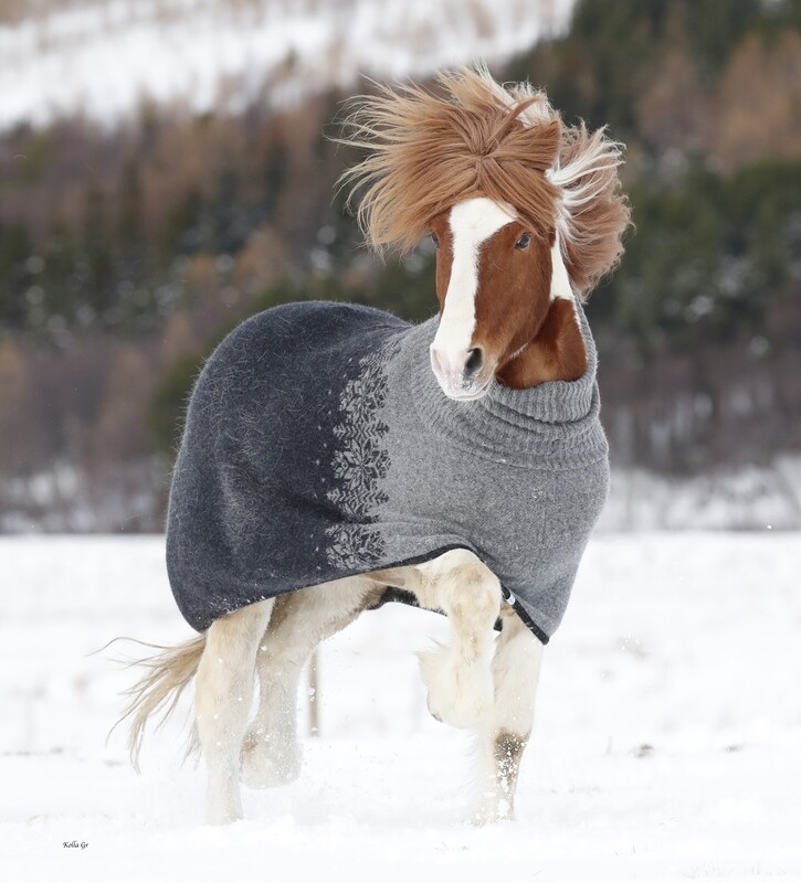 Kidka Wool Turtleneck Cooler PATTERNED