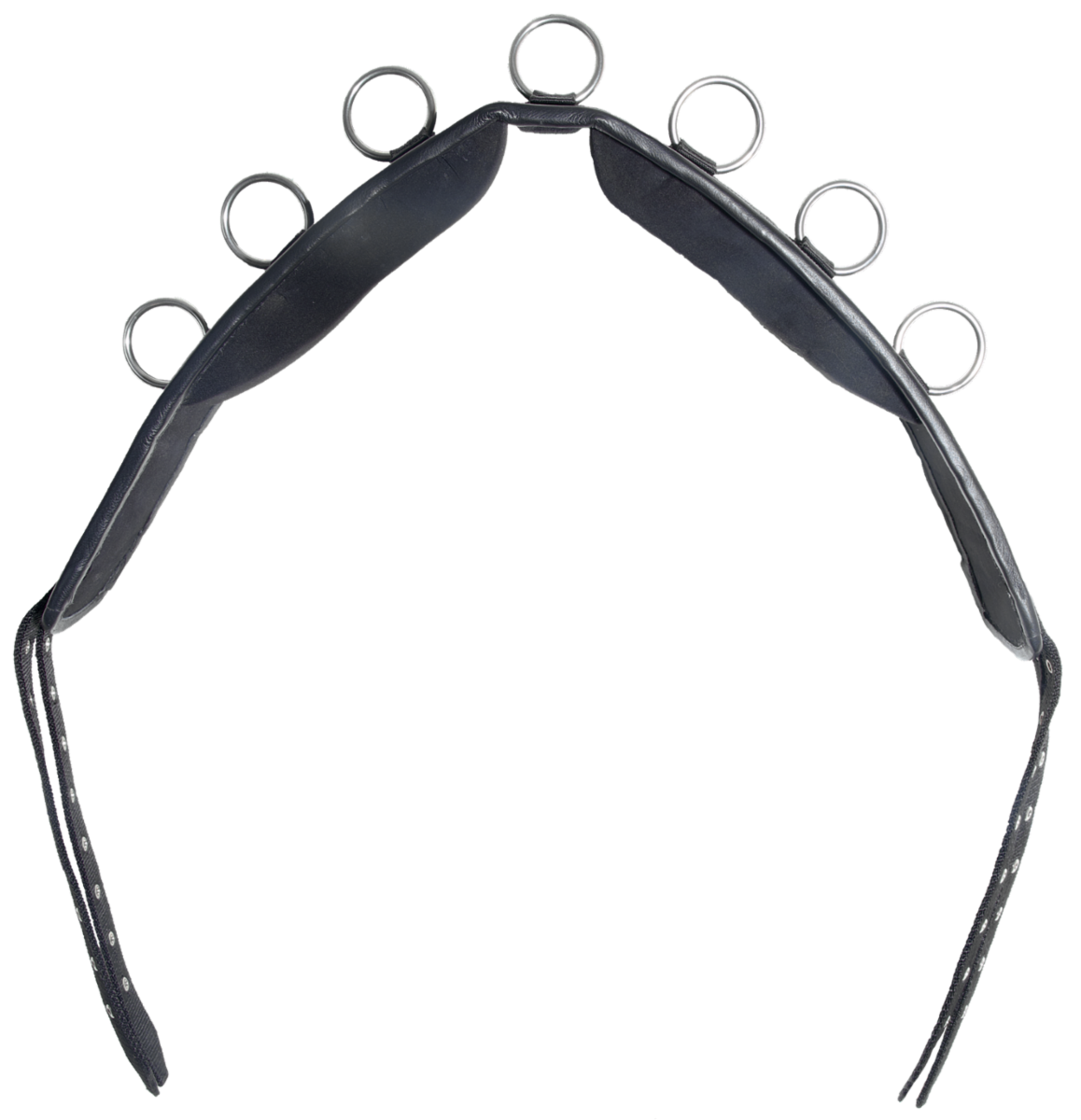 Karlslund Nylon Lungeing Girth