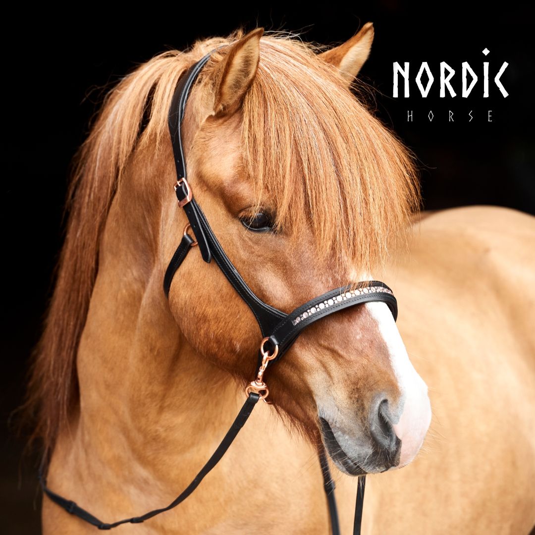 Nordic Horse Sidepull ALL ROSE GOLD, Demo model