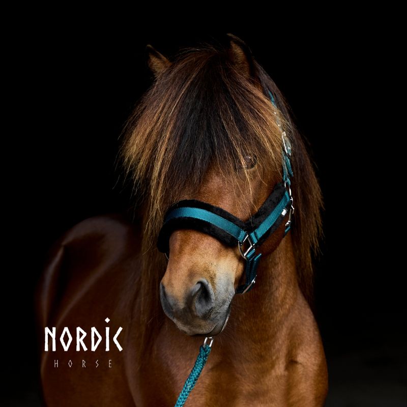 Nordic Horse COMFORT Halter Set w/Rope