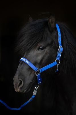 Top Reiter TR II Halter Set