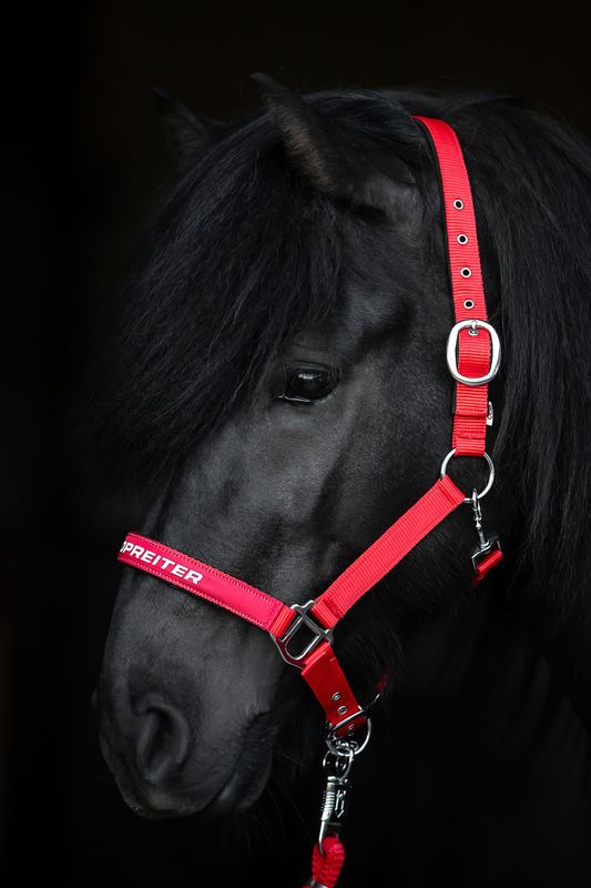Top Reiter TR II Halter Set