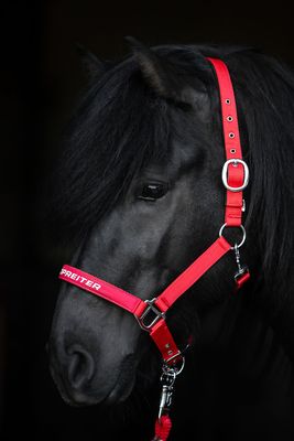 Top Reiter TR II Halter Set