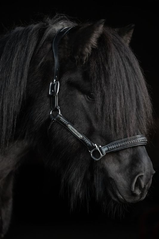 Top Reiter Snillingur Leather Halter