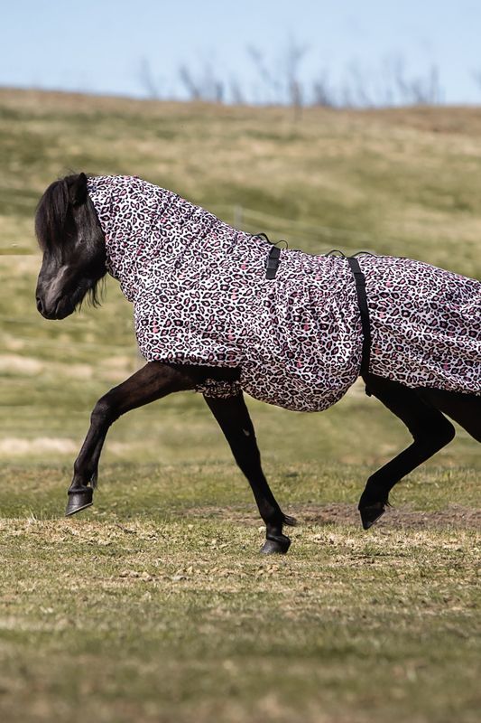 Top Reiter Eczema Blanket PINK LEOPARD
