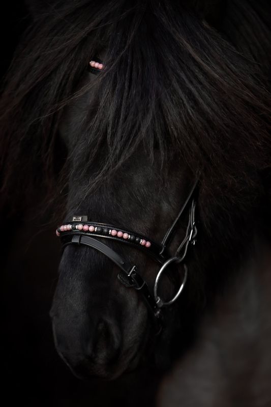Top Reiter Bridle Set ORKA, Pink