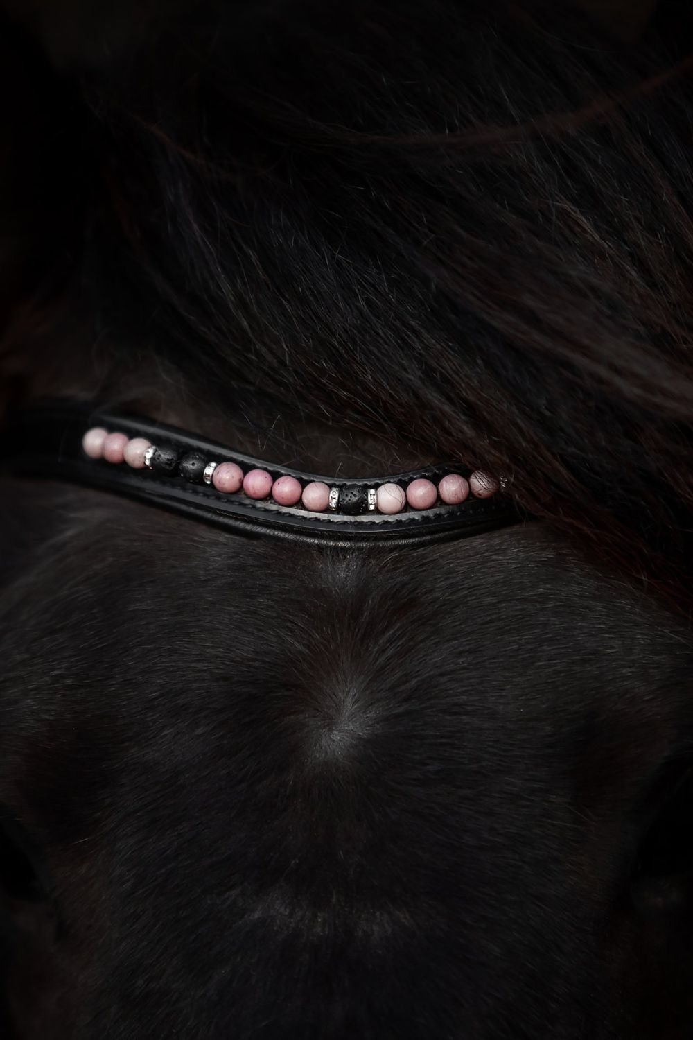 Top Reiter Bridle Set ORKA, Pink