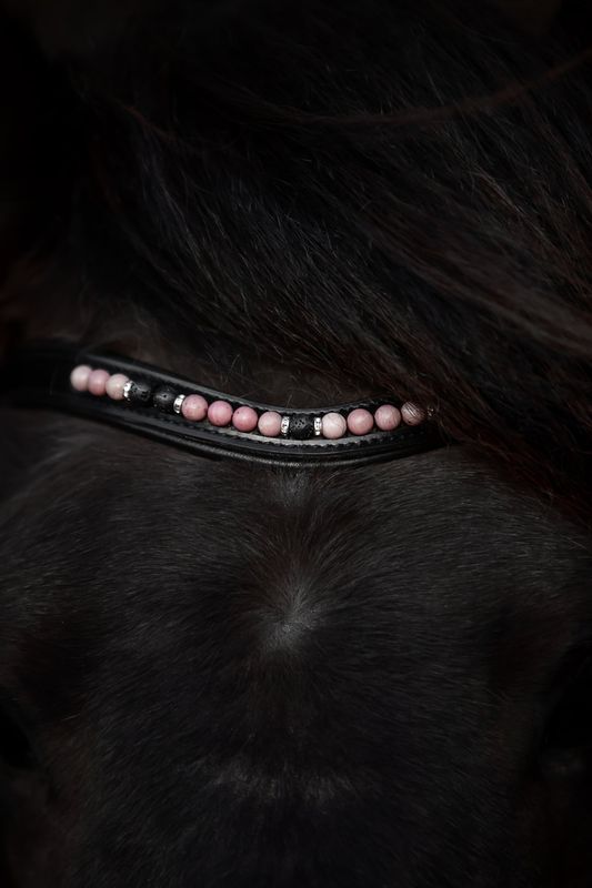 Top Reiter Bridle Set ORKA, Pink