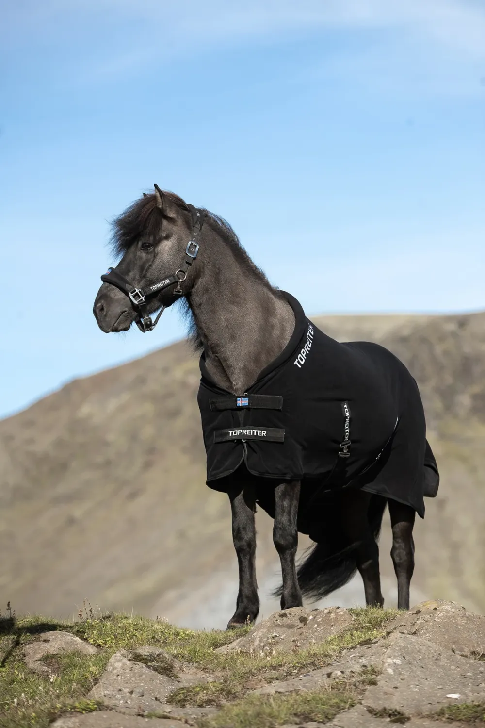 Top Reiter KLAKI Cooler