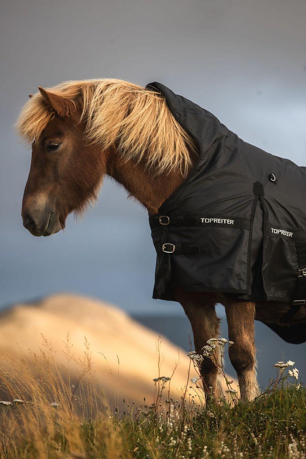 Top Reiter Rain Rug w/Removeable Neck