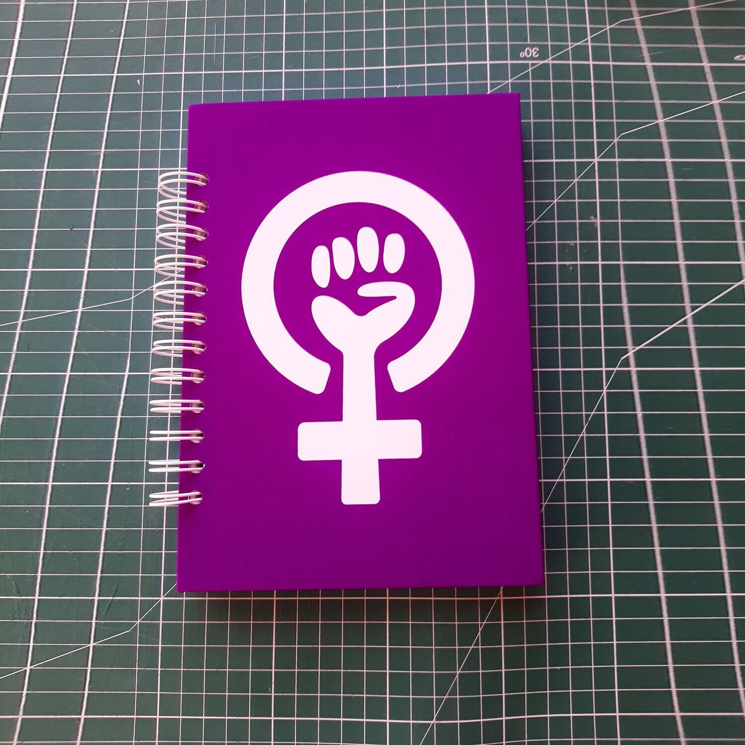 Agenda Feminista