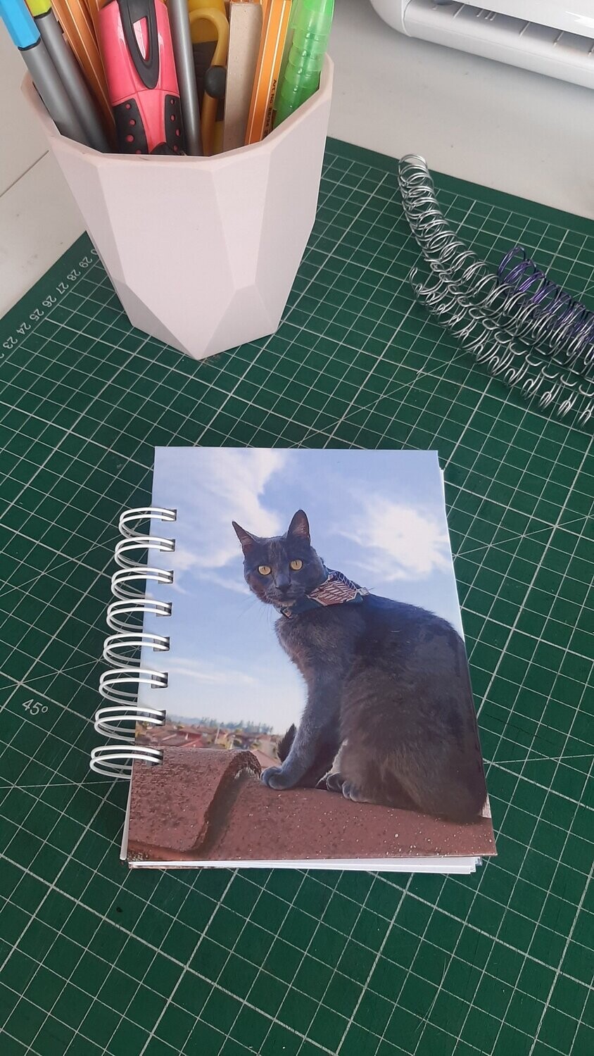 Libretita de Gatitos