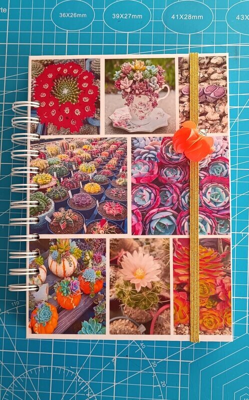 Agenda Cactus