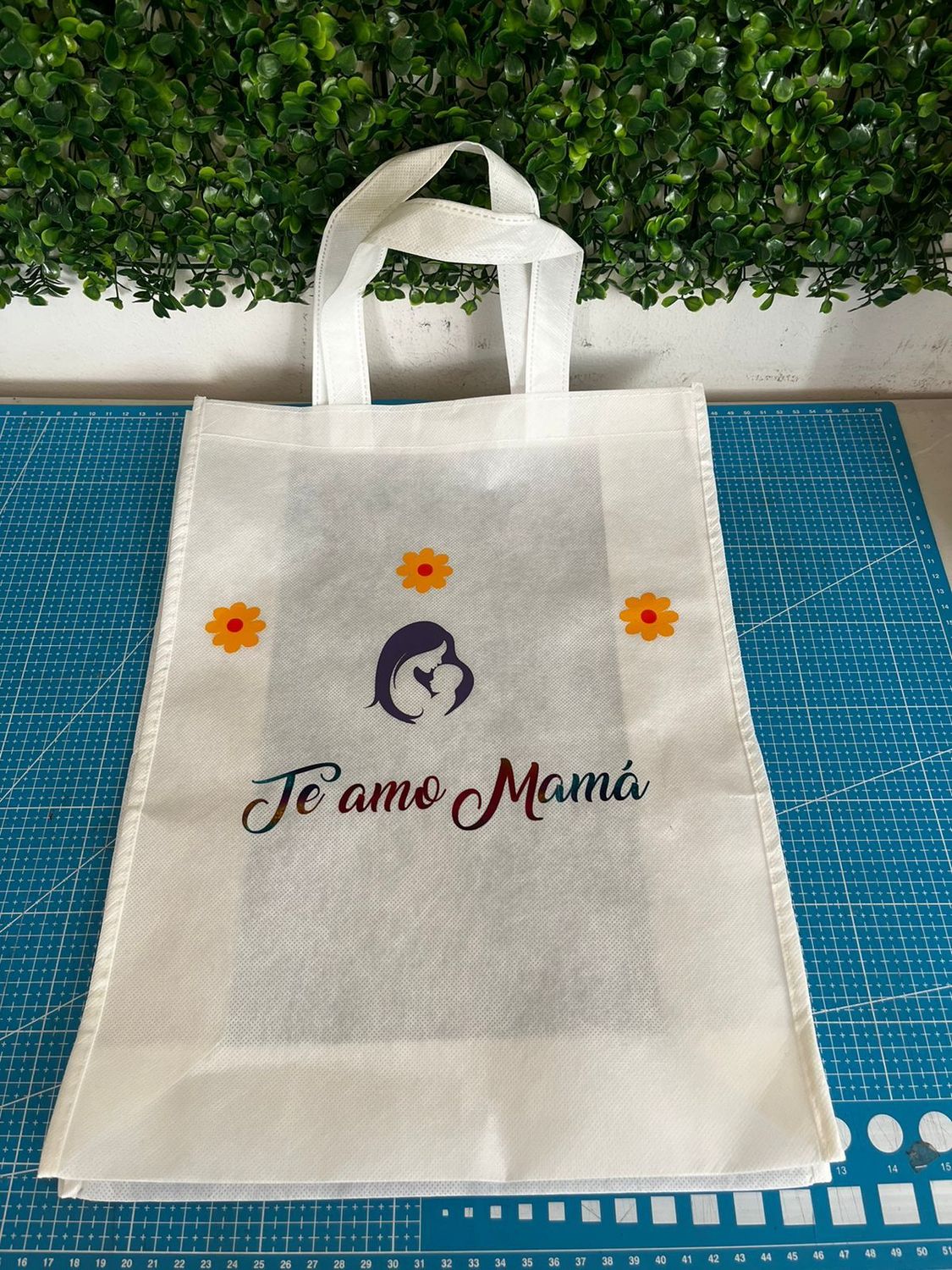 Bolsas Ecológicas