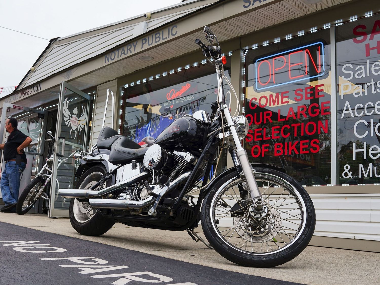 2009 HARLEY DAVIDSON SOFTAIL CUSTOM FXSTC