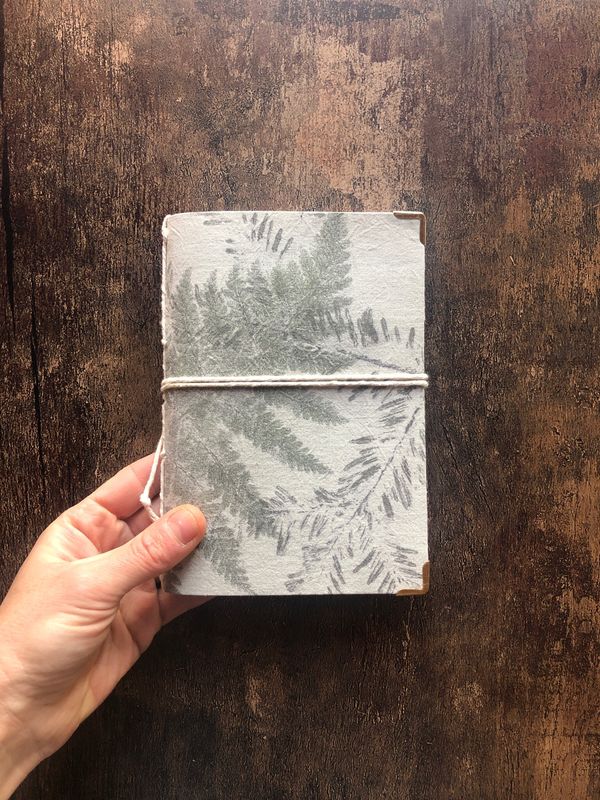 Carnet de bord - Cimes