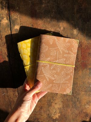 Collection Luminaria