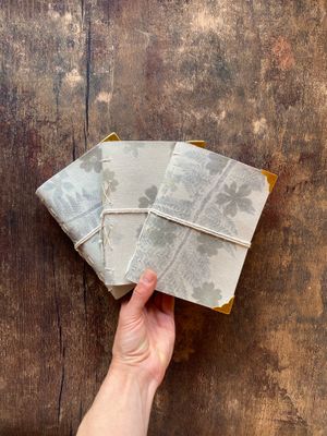 Carnets à soi