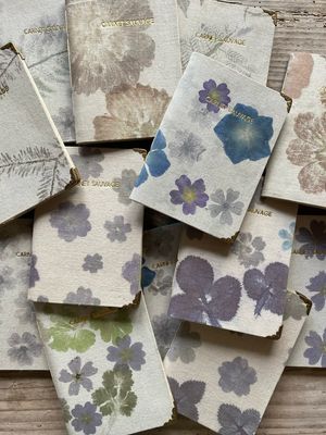 Carnets sauvages
