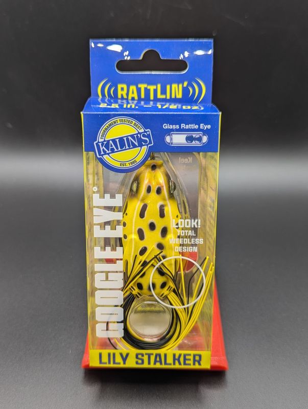 Google Eye- Lily Stalker