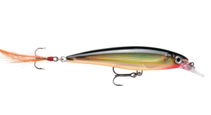 Rapala XR-8