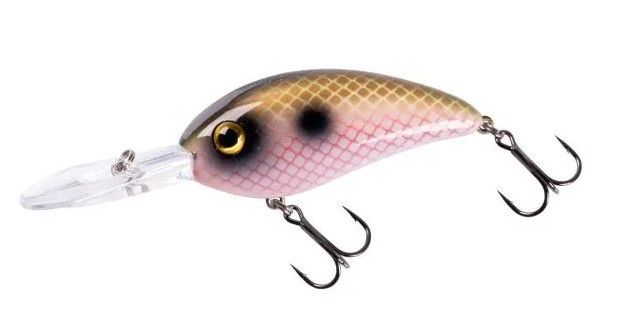 Fat Free Shad Jr. Fat Free Shad Jr.