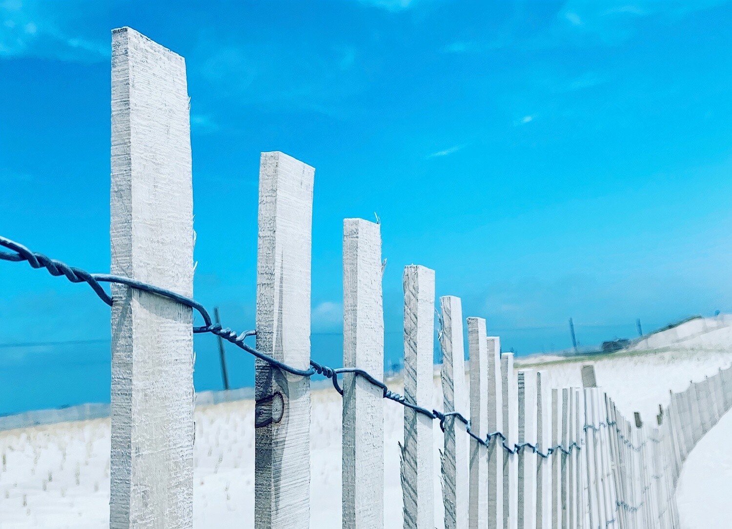 HAMPTONS FENCE PHOTOGRAPH (2020)