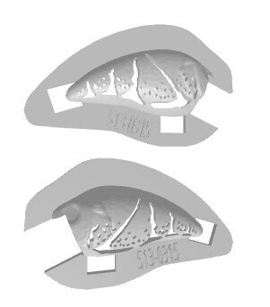 3D Stencil for 2 3/4&quot; Medium Diver Crankbait- Norman Little N Knock Off, Patterns: 107-0315 Crawfish