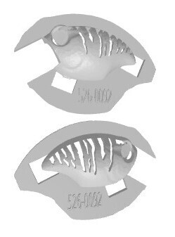 3D Stencil for - Megabass Wiggle Griffon Knock Off, Patterns: 525-0092 Natural Stripes
