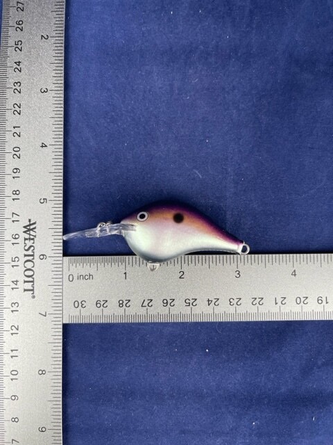 3D Stencil for Rapala DT 6 Original Lure