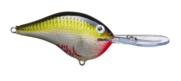 3D Stencil for Rapala DT 16 Original Lure