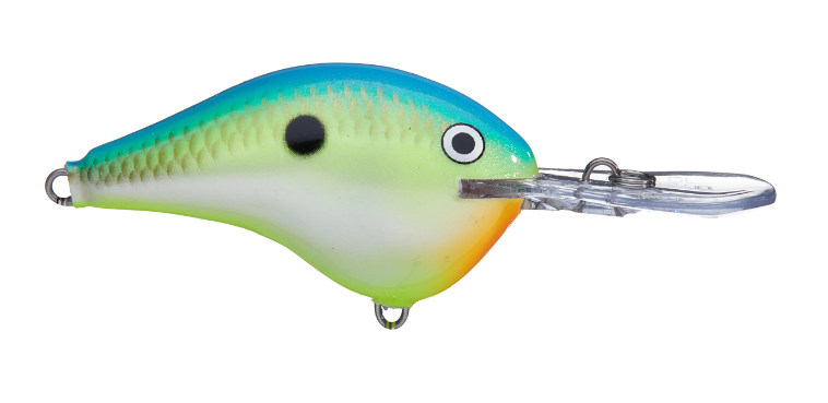 3D Stencil for Rapala DT 10 Original Lure
